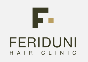 Feriduni logo